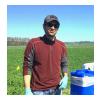 Application of palisade on crimson clover to increase seed yield.