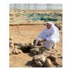 Hasan in 7700 yr site
