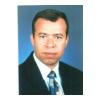Mohamed A Elsayed